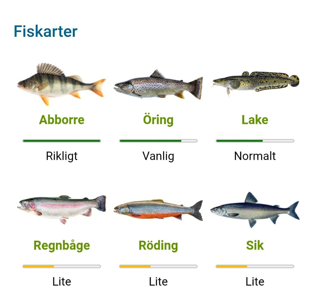 Fiskearter i Fullsjön
